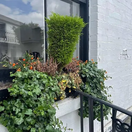 Spacious 1-Bedroom Apartment In Belsize Village London Exterior photo