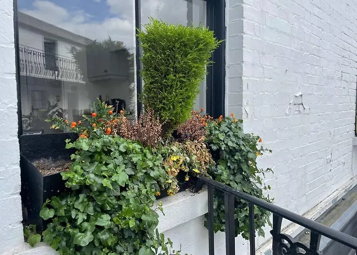Spacious 1-Bedroom Apartment In Belsize Village