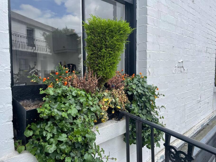 Spacious 1-bedroom In Belsize Village Appartamento Londra